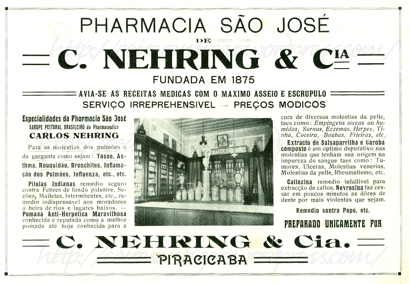 Digitalização de anúncio antigo da Pharmacia São José. Nele, há uma foto do interior da farmácia e diversos textos, como “Pharmacia São José. C. Nehring & Cia. Fundada em 1875”. 