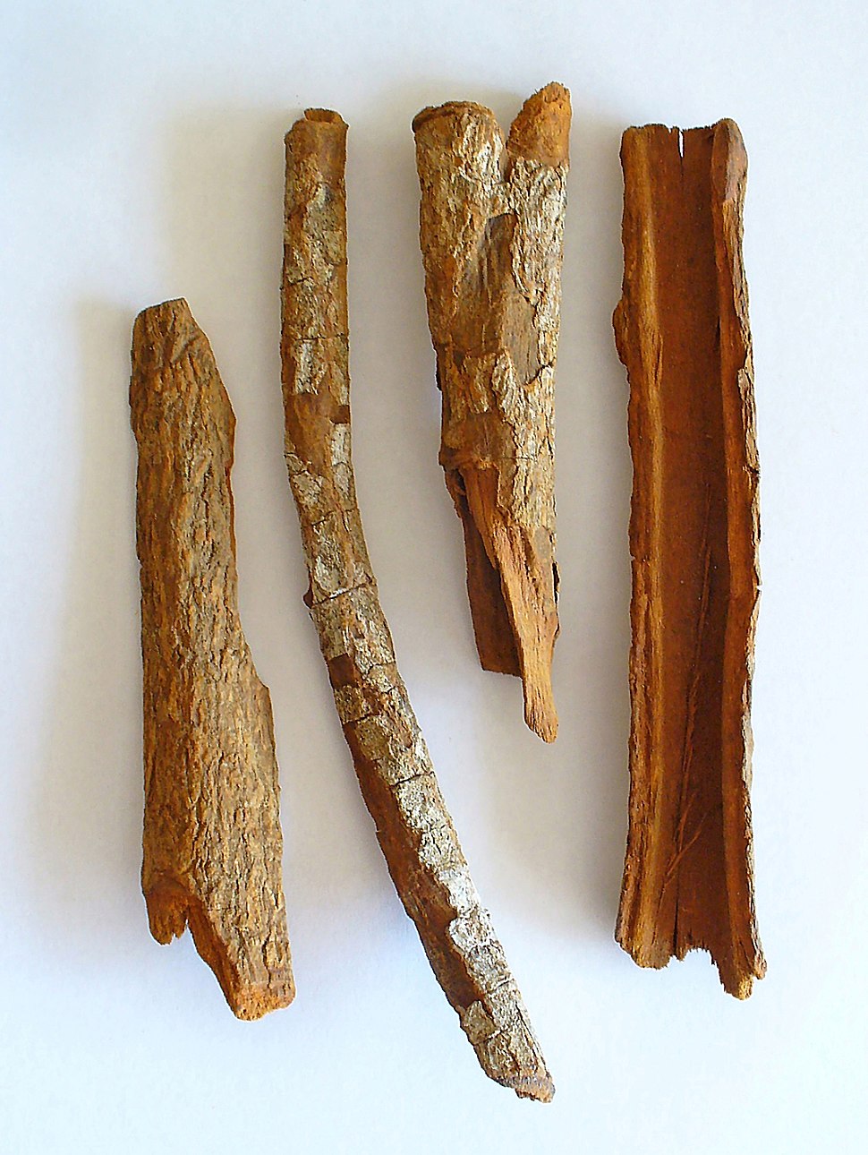 Foto de quatro cascas do tronco da planta quina sobre uma superfície branca