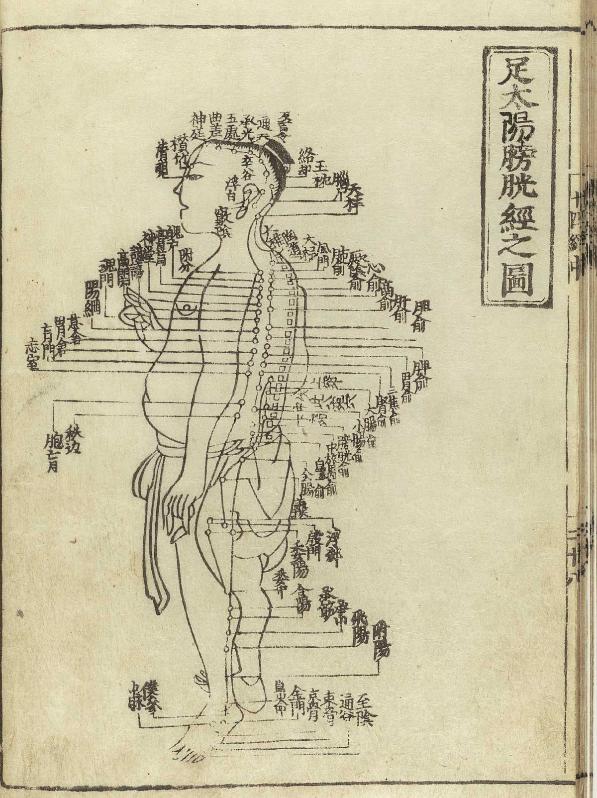 Desenho em preto e branco de um diagrama de acupuntura. Há uma pessoa de lado e os pontos principais do corpo destacados com traços e escritas em chinês.
