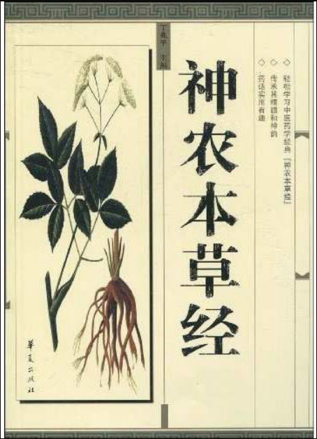 Ilustração botânica de uma planta presente no livro chinês Shennong Bencaojing.