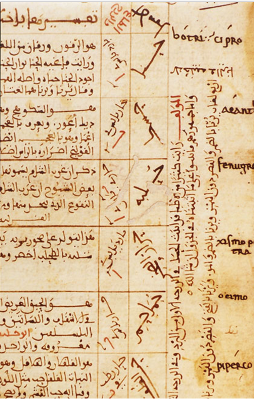 Digitalização de um aqrabadin, um formulário escrito em árabe, com a fórmula de um medicamento.