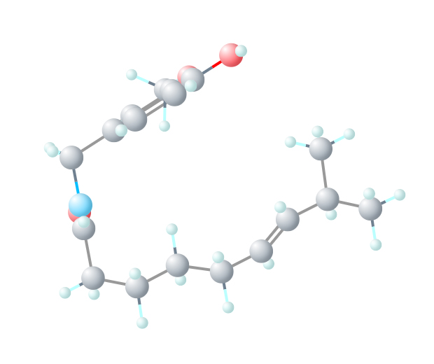 Representação da molécula de capsaicina