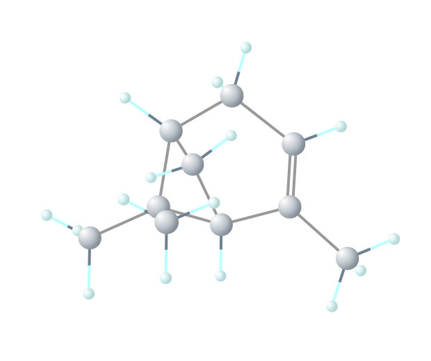Representação da molécula pineno
