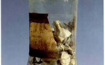 Foto de um frasco de vidro com trocisco de víbora, medicamento antigo que pode ter formato de rodela ou pastilha.