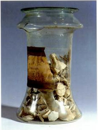 Foto de um frasco de vidro com trocisco de víbora, medicamento antigo que pode ter formato de rodela ou pastilha.