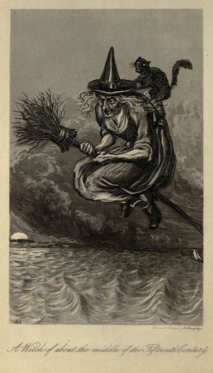Ilustração do século 19 em preto e branco de bruxa voando sobre o mar em cima de uma vassoura ao contrário, com as cerdas para a frente e o cabo pra trás. No ombro dela, há um gato preto.