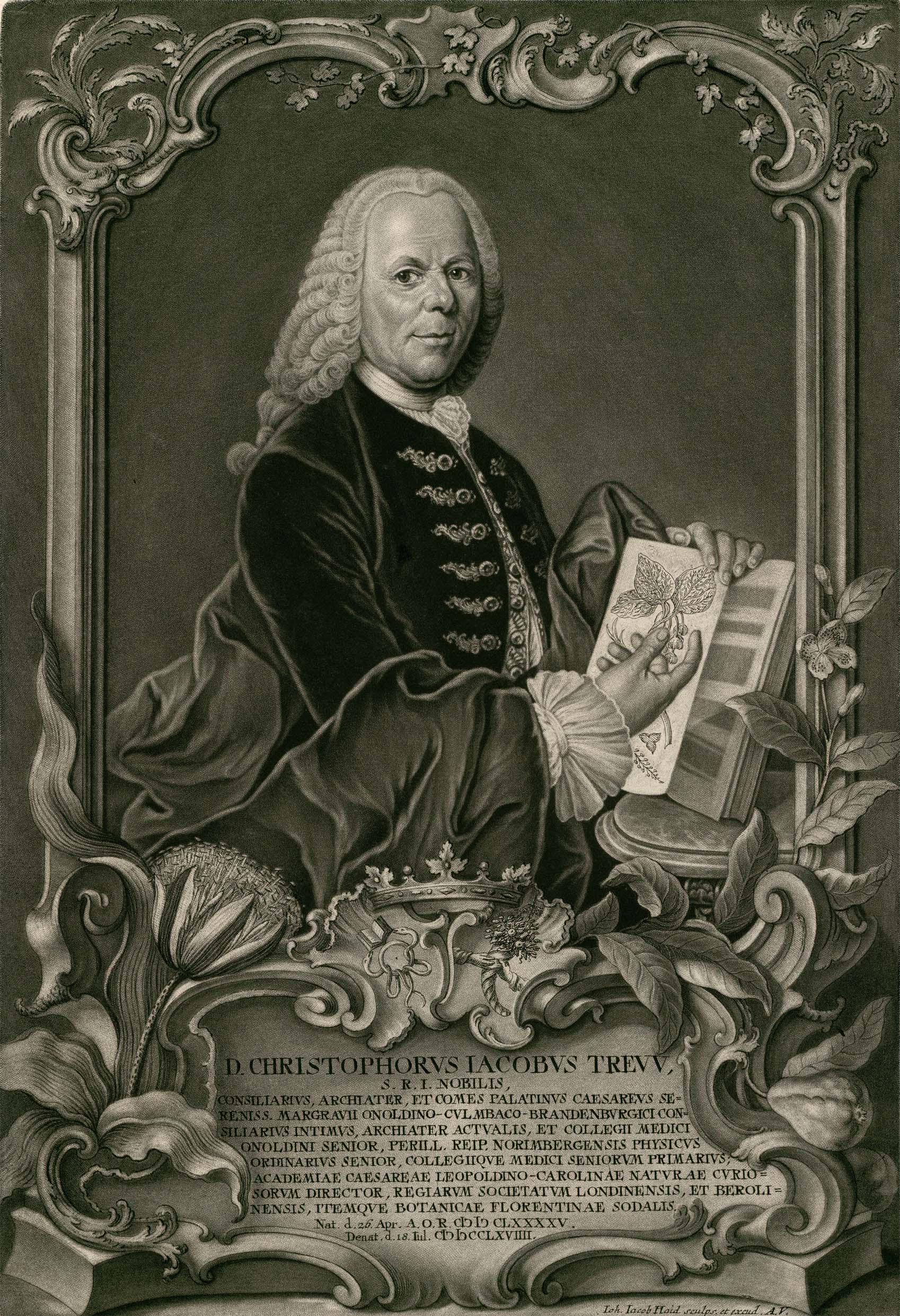 Pintura em preto e branco do médico alemão Christoph Jacob Trew. Um homem com uma peruca antiga com cabelos cacheados, longos e presos em um rabo de cavalo, roupas de época e um livro em suas mãos.