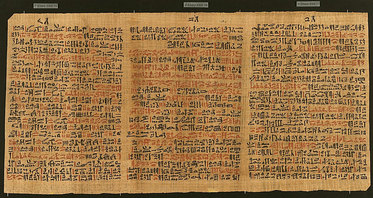 Digitalização de páginas do Papiro de Ebers.