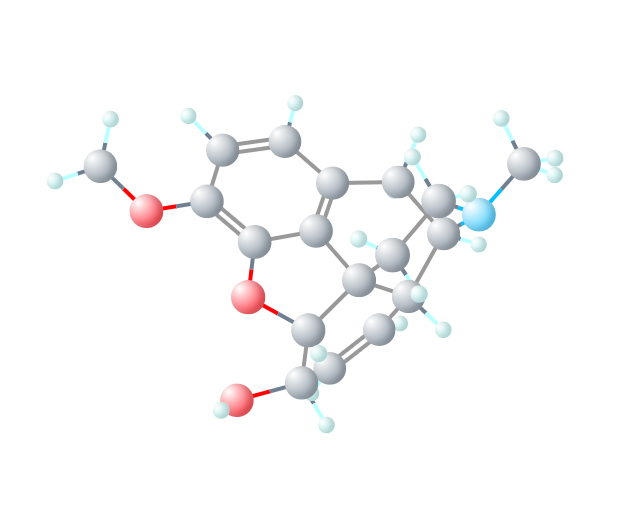 Representação da molécula de codeína